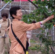 このさくらんぼにしよ