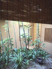 美しい日本庭園