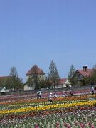 お花畑が素敵なブレーメの丘