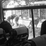 今日はどんな人間が来てるかな