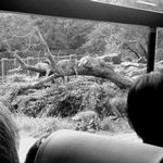 ぐっすりお昼寝中