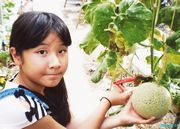 メロンをチョキン