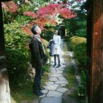 紅葉で彩られた犬山を散策