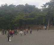 三保の松原を散策中