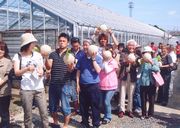 お土産のメロンです