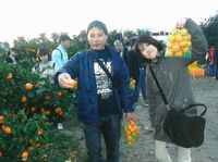 甘~い、みかんだよ