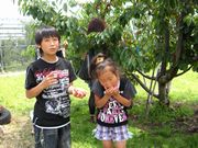 とっても美味しい