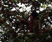 腕を伸ばして、ヨイショっと