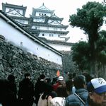 見どころ満載の姫路城