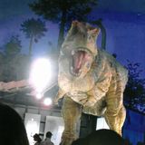 大迫力のお出迎え