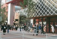 開場前は人だかり