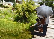 &nbsp;足を止めて、あれ何だろ