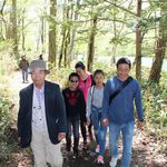 さわやかな林道を散策