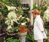 素敵なお花です