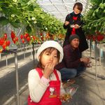 甘くておいしいのをパク