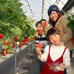 私のが一番大きいよ