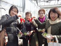 大きいイチゴですよ