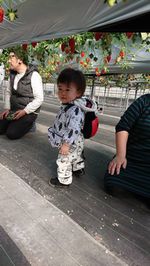 イチゴ棚の下をお散歩中です