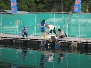 私も釣れるかな