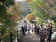 へっぴり腰になりながら吊橋を渡る姿も…