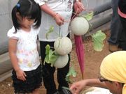 大きなメロンだな