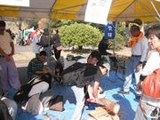 ヨイショ・ヨイショ