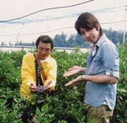 カゴいっぱいのブルーベリー