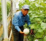 &nbsp;メロンをチョキン