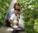 どれにしようか迷っちゃう