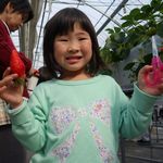 大きいの見つけたよ