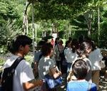 マイナスイオンを吸収