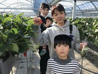 甘くて美味しいですよ