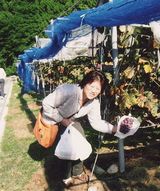 大粒の房のピオーネ