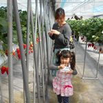 貸し切りでゆったり