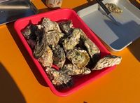 おいしそうなカキ