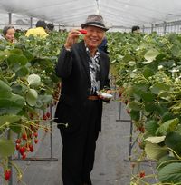 真っ赤で大きなイチゴ