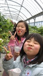 甘くて美味しいイチゴだよ