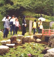 &nbsp;岩村城跡を散策しています