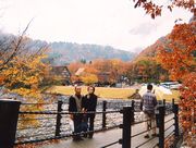 仲良くお散歩してます