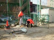 もくもくと作業しています