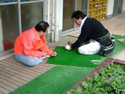 モクモクと作業しています