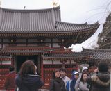 鳳凰とサギと記念撮影