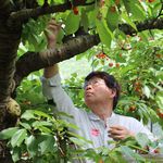 上の方が甘いかな