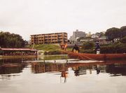 若き鵜匠の手綱さばき