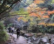 紅葉の中のウォーキング