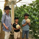 これがきっと甘いはず