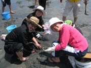 いっぱい獲れていますよ