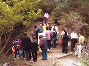 皆さんウォーキングを楽しんでいます