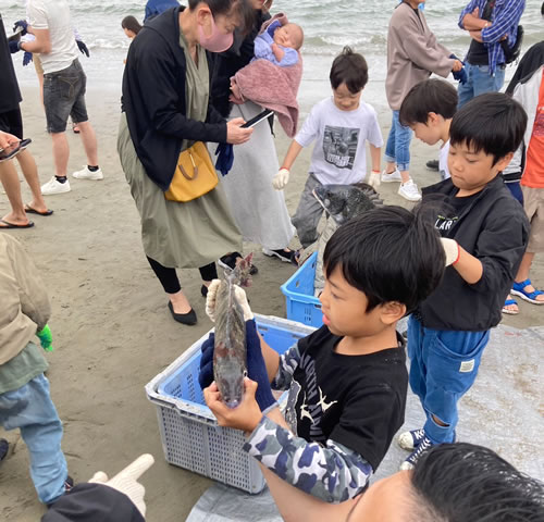 お魚さんと子供達