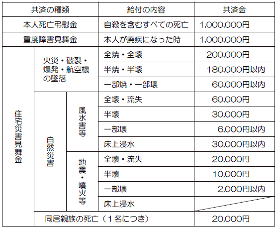 こくみん共済coop＜全労済＞支給分